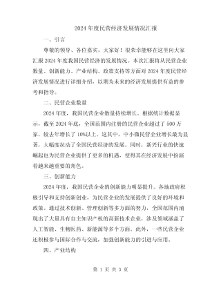 2024年度民营经济发展情况汇报