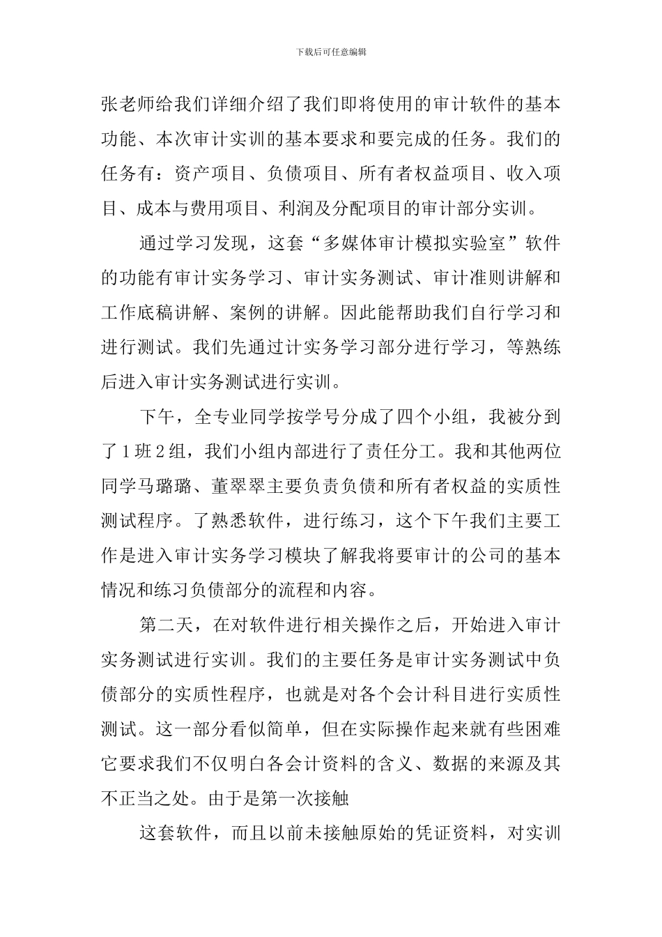 2024审计实训学习总结_第2页