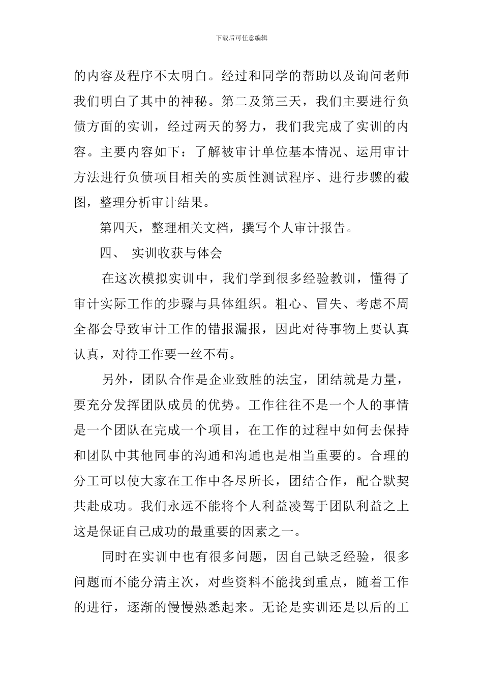 2024审计实训学习总结_第3页