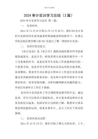 2024审计实训学习总结