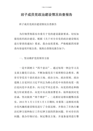 班子成员党政治建设情况自查报告
