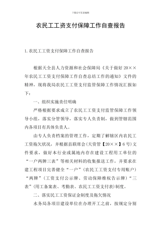 农民工工资支付保障工作自查报告