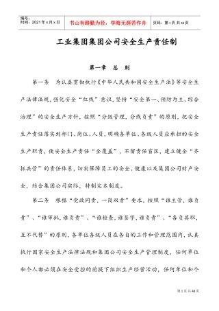 集团公司安全生产责任制管理办法(DOC35页)