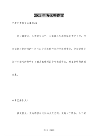 2024中考优秀作文_174