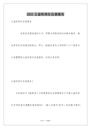 2024公益性岗位自查报告_1