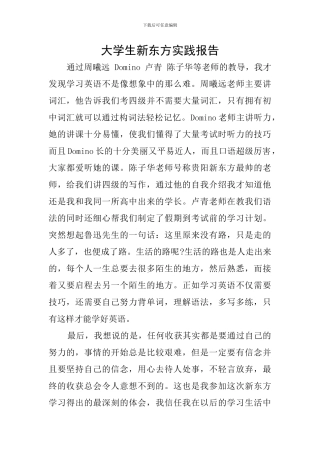 大学生新东方实践报告