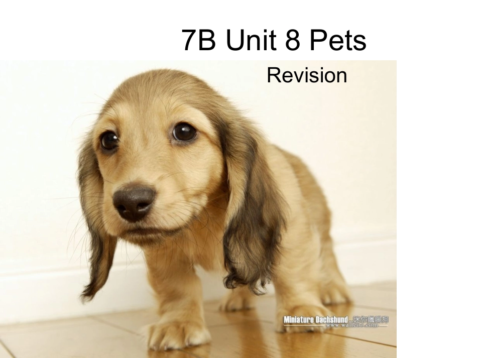 U8复习课件_第1页