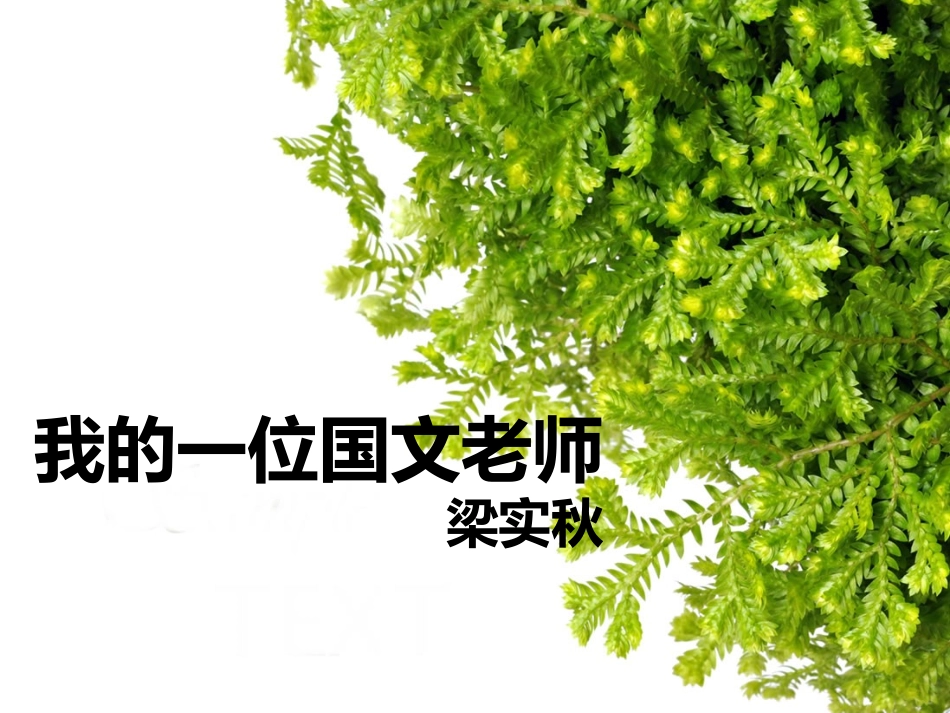 我的一位国文老师-(2)_第1页