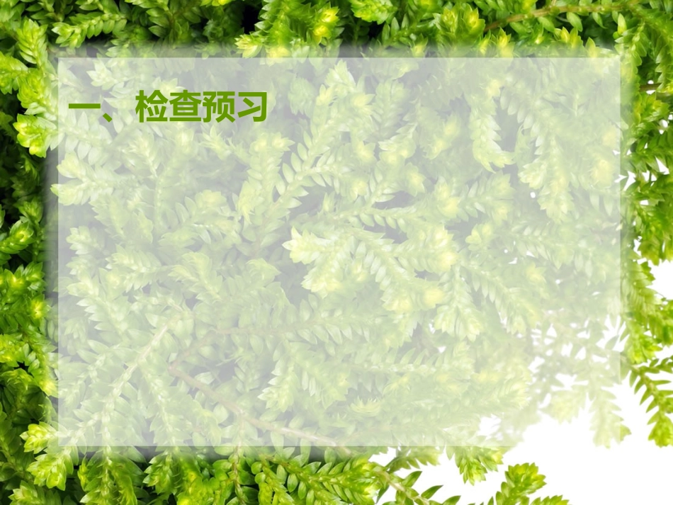 我的一位国文老师-(2)_第3页