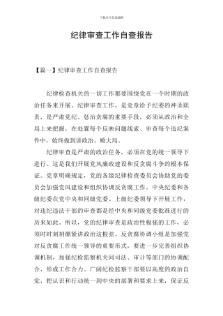 纪律审查工作自查报告