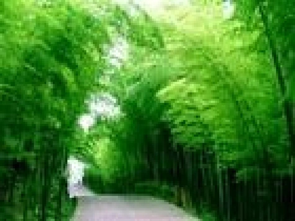 第三节土地资源_第1页