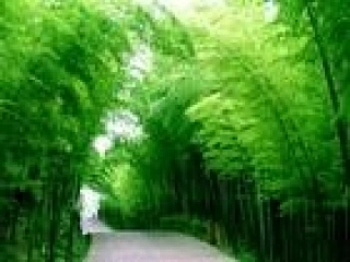第三节土地资源