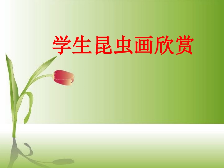 学生昆虫画欣赏_第1页