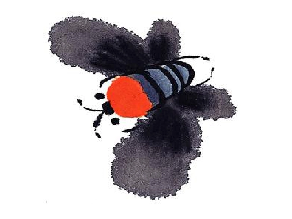 学生昆虫画欣赏_第3页