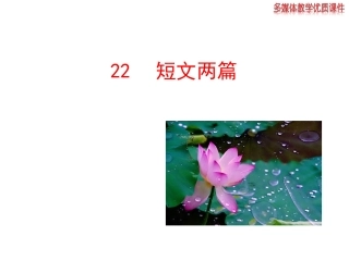 22课2013版人教版八年级语文上册《短文两篇》课件
