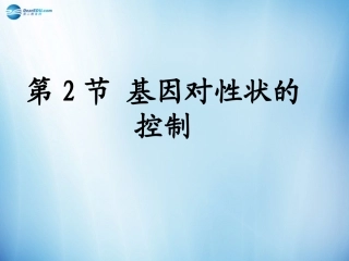 基因对性状的控制