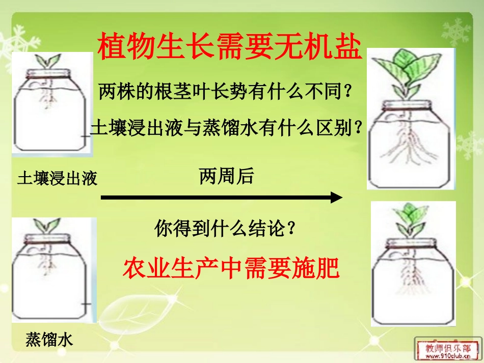 第三节无机盐与植物的生长_第3页