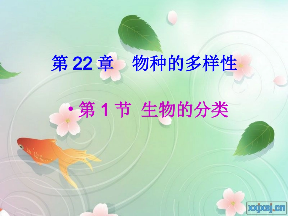 第1节生物的分类-(2)_第1页