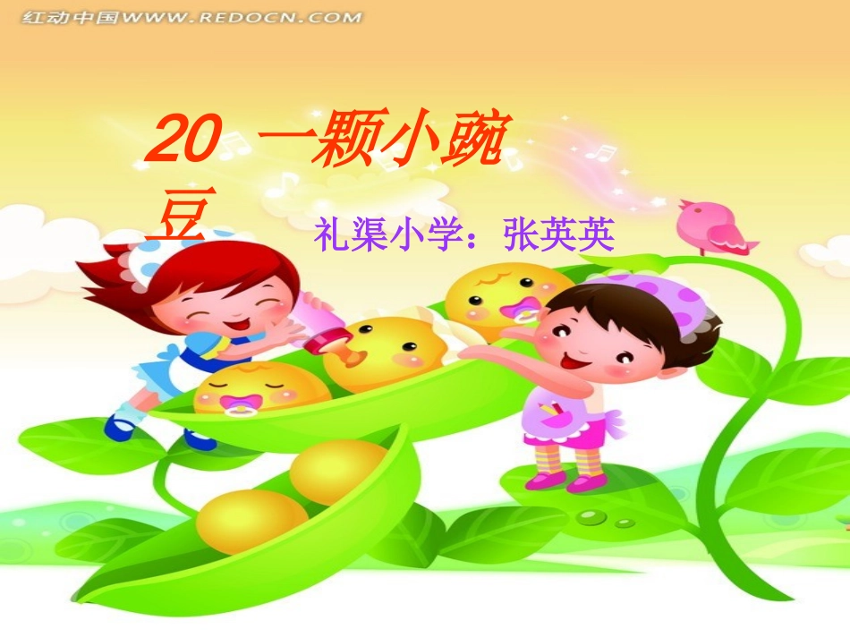20一颗小豌豆_第1页