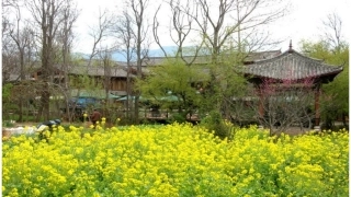 晚春-(2)