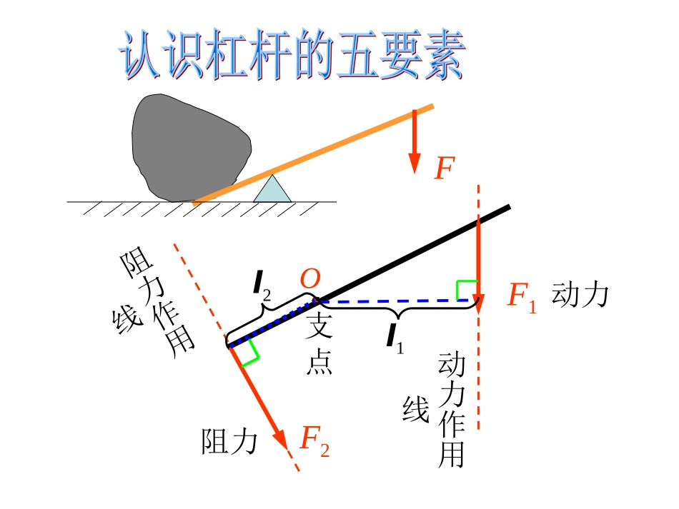 第21课《奇异的琥珀教学PPT》_第3页