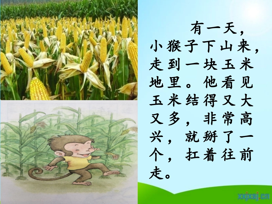 18小猴子下山_第3页