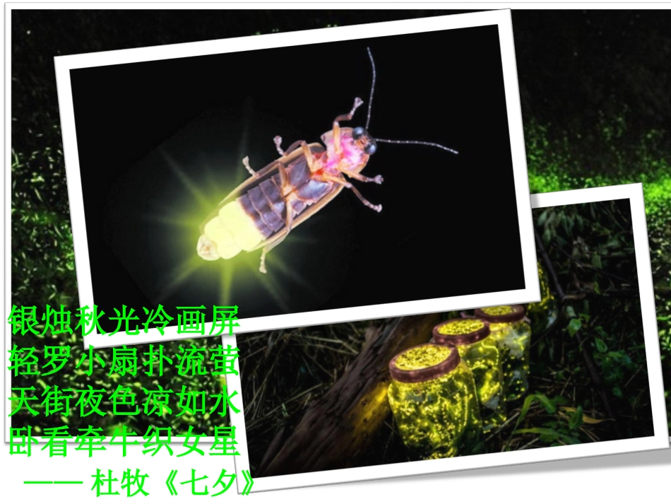 第1节生命活动的直接能源-(2)_第1页