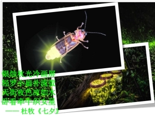 第1节生命活动的直接能源-(2)