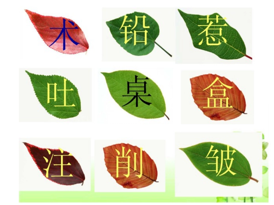 19蓝色的树叶_第2页