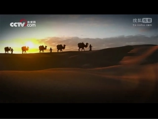 第14课沟通中外文明的“丝绸之路”