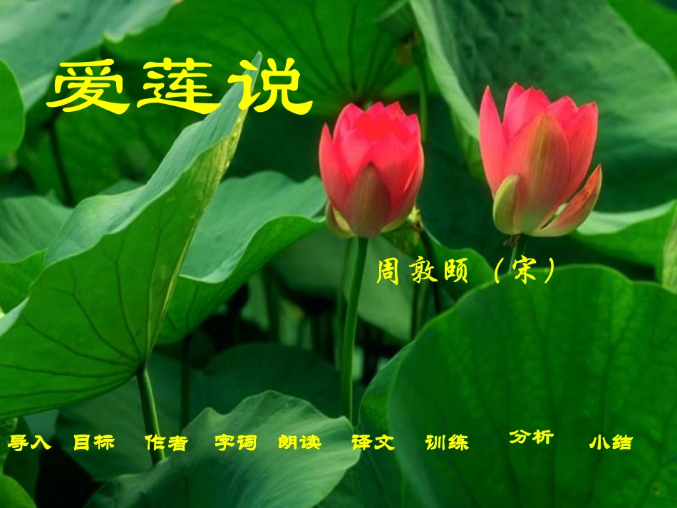 23.爱莲说1_第1页