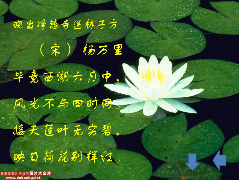 23.爱莲说1_第3页