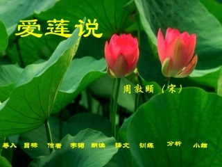 23.爱莲说1