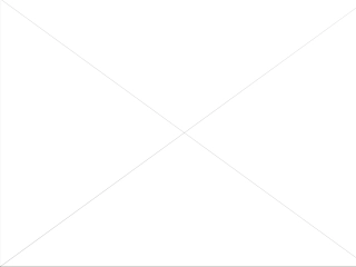 《跳动的心》课件