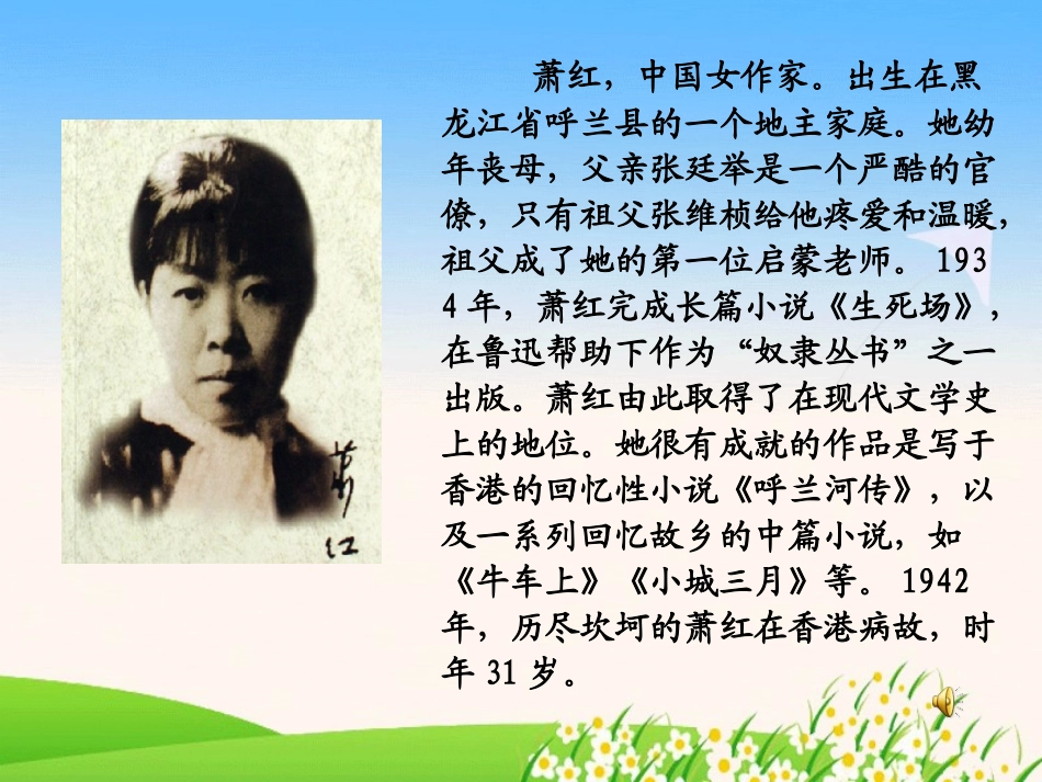 我和祖父的园子(第一课时)_第3页