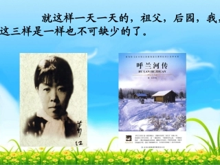 我和祖父的园子(第一课时)