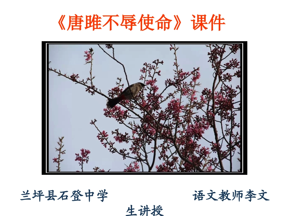 综合学习与探究-(2)_第1页