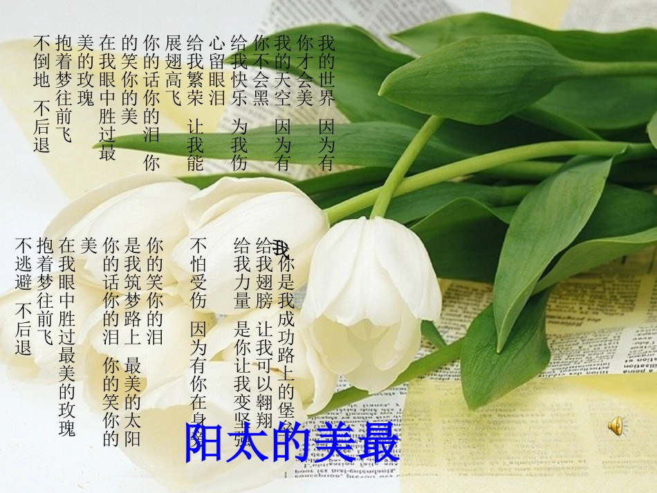 警钟长鸣-法在我心中_第2页