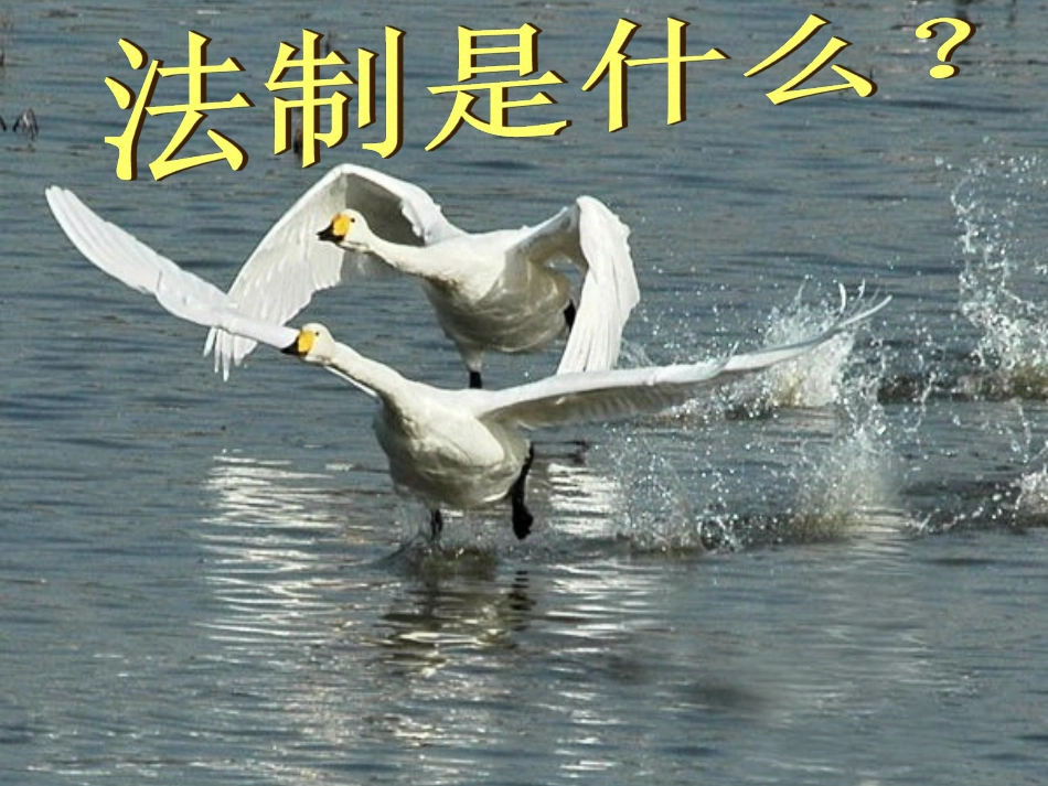 警钟长鸣-法在我心中_第3页