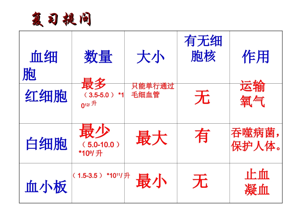第二节-血液循环(第1节课时)_第1页