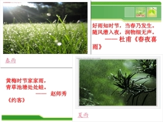 3.雨的四季