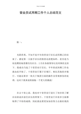 营业员试用期工作个人总结范文