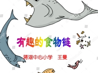 3-有趣的食物联系