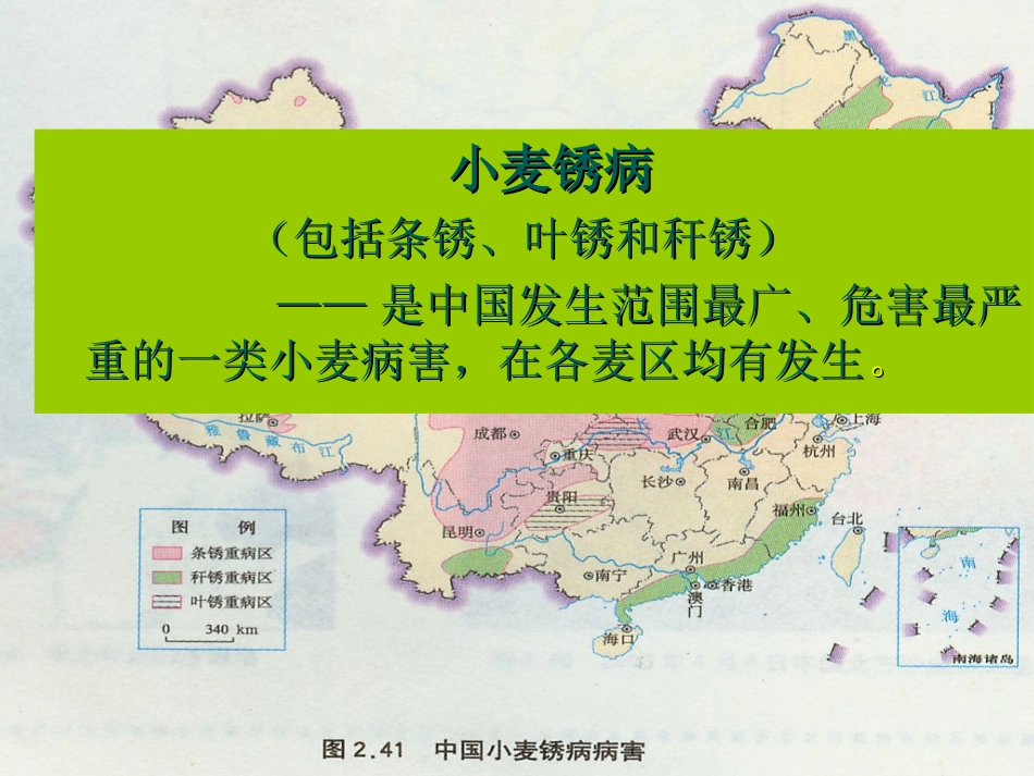 第五节《中国的生物灾害》课件_第3页
