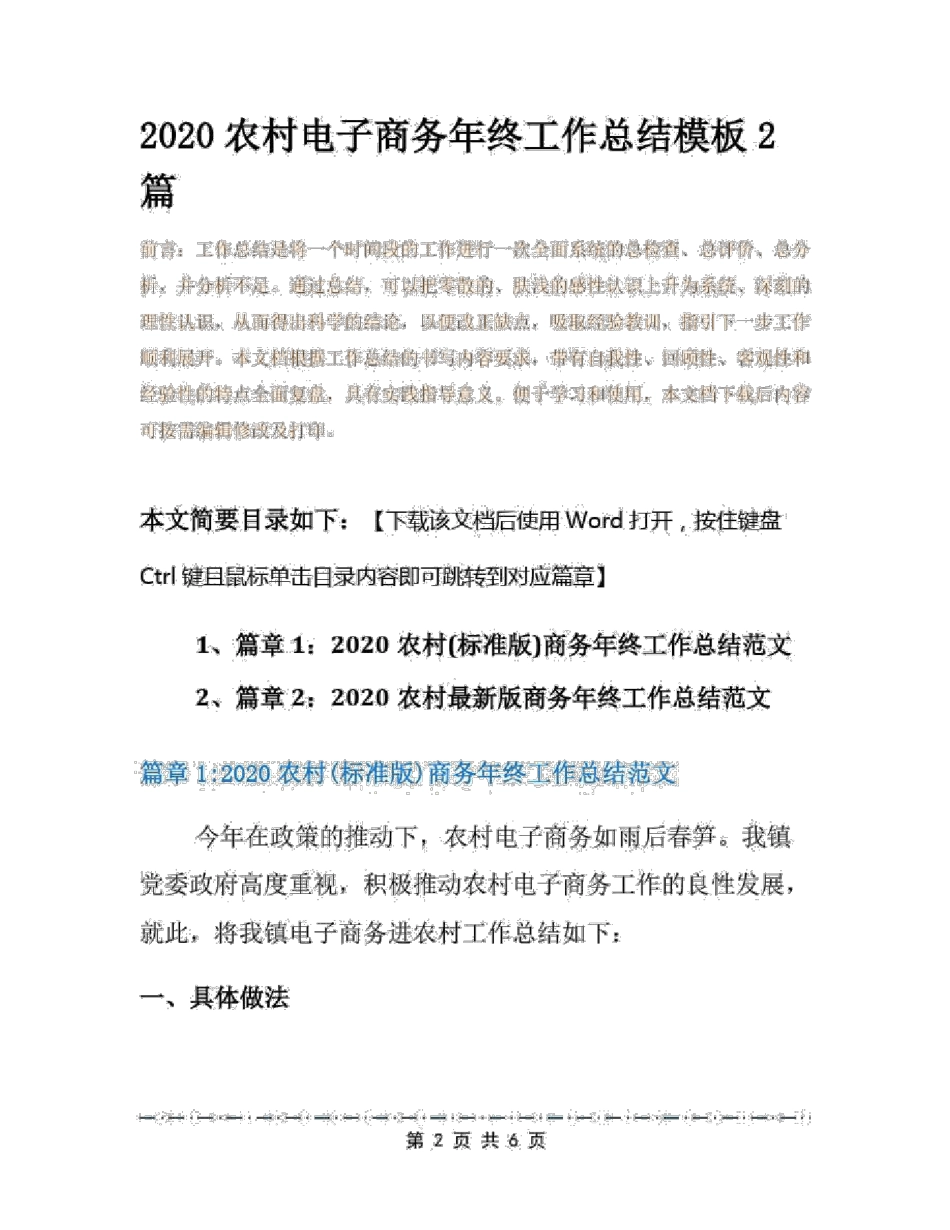 2020农村电子商务年终工作总结模板2篇_第2页