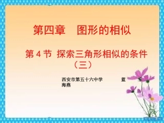 利用边的关系判定三角形相似