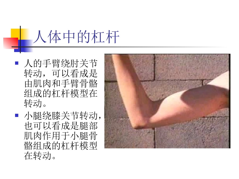 人体中的杠杆_第3页