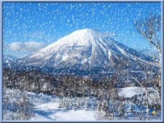 雪地里的小画家2课时