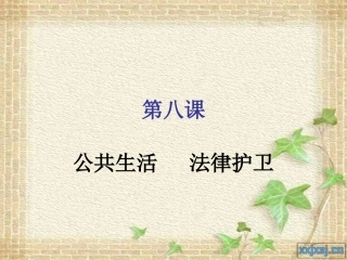 社会公共生活的安全保障