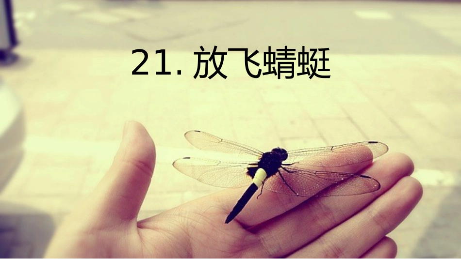 21放飞蜻蜓_第1页
